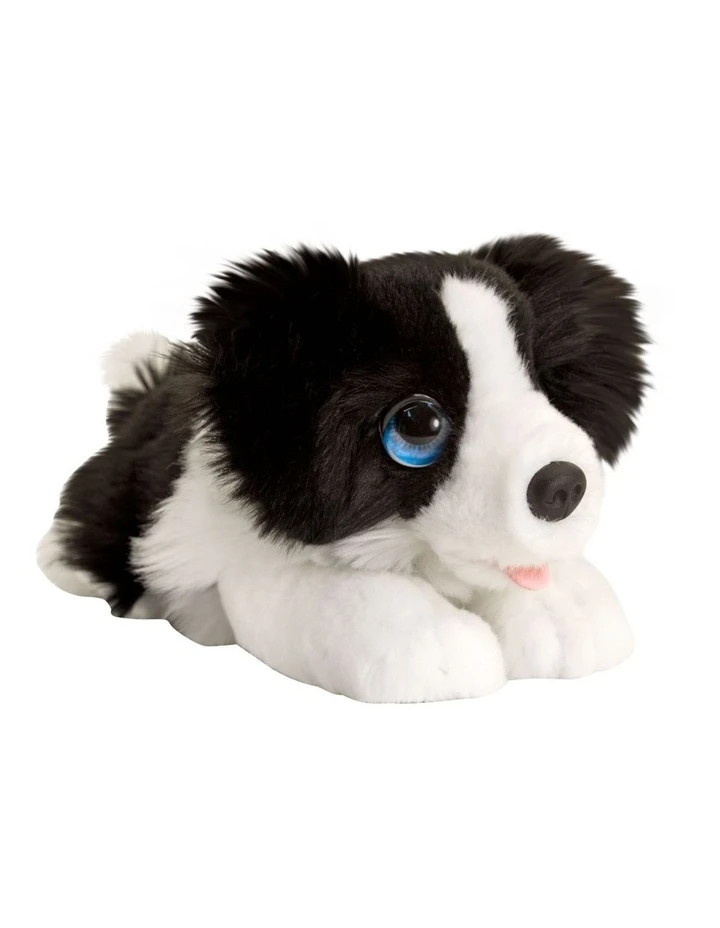 Korimco Cuddle Pup Border Collie 32cm Plush Toy 1 Korimco Cuddle Pup Border Collie 32cm Plush Toy