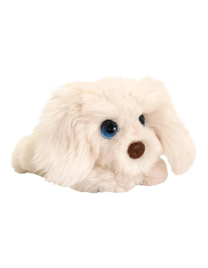 Korimco Cuddle Pup Labradoodle 37cm 1 Korimco Cuddle Pup Labradoodle 37cm