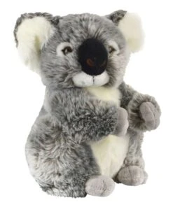 Korimco Koala Kalypso 50cm