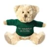 Teddy and Friends Personalised Beige Bear With Dark Green Knitted Jumper