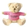 Teddy and Friends Personalised Beige Bear With Pink Knitted Jumper
