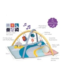 Taf Toys Magical Mini Moon Gym -Cheap Toys Store 832491010 3 720x928