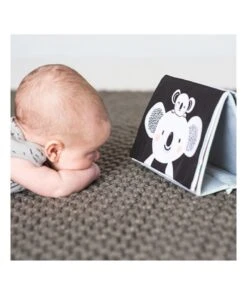 Taf Toys Tummy-Time Book -Cheap Toys Store 868805290 6 720x928
